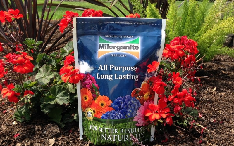 Use Milorganite in your garden for healthy, vibrant flowers.