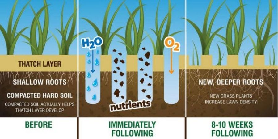 graphic showing aeration and thatch