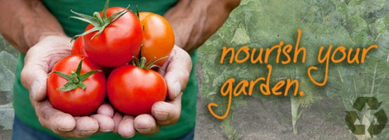 Tomatoes-Hands-Nourish555x201-1-min.jpg