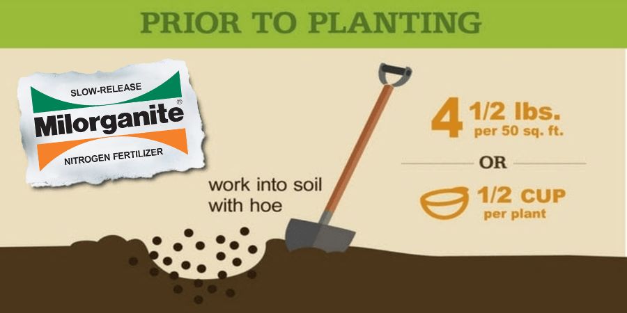 Milorganite fertilizing veggies graphics