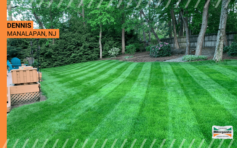 Bright green lawn fertilized with Milorganite in NJ