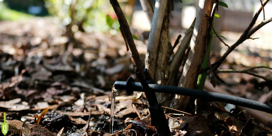 hose streaming water into the woods