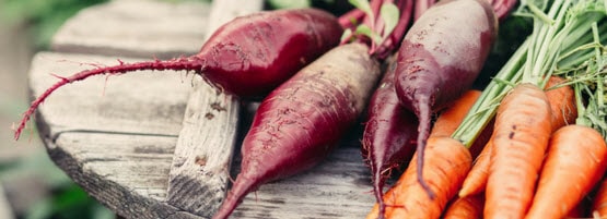 Beets-Carrots555x201-min.jpg