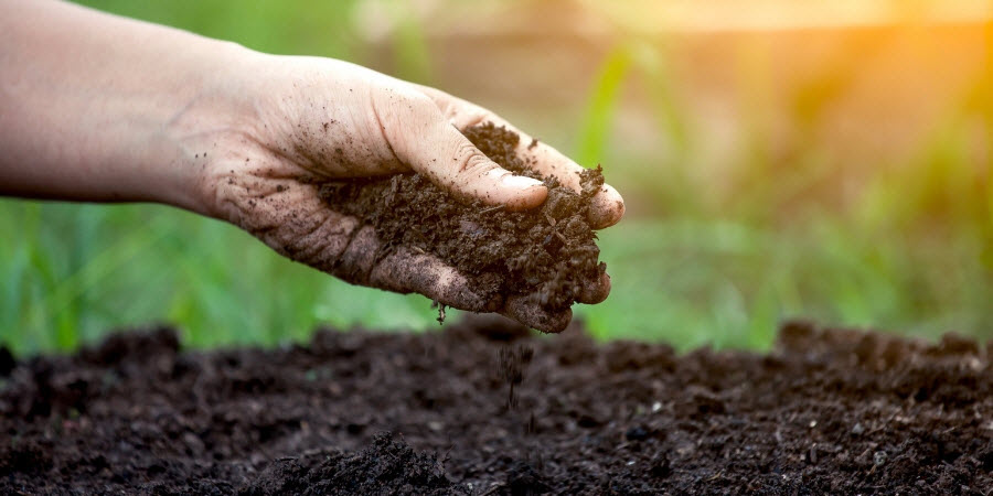 hands holding soil