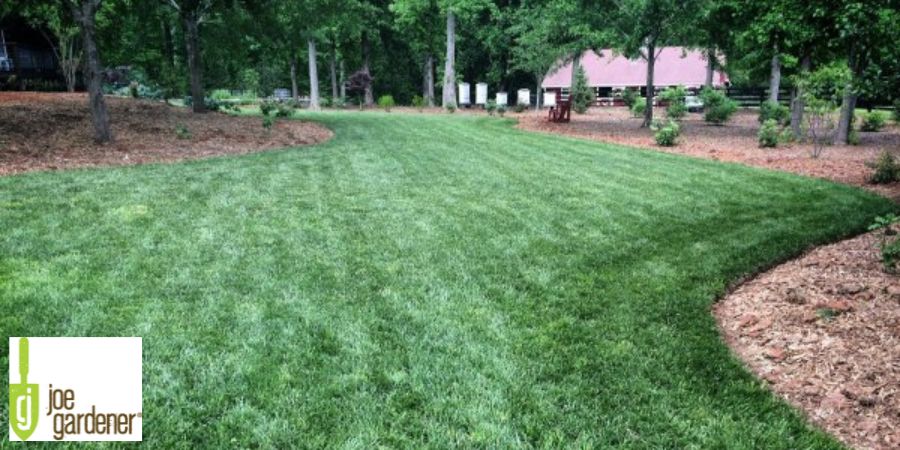 green lawn and trees and landscape