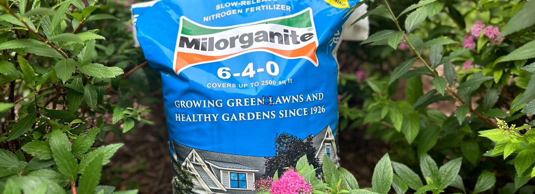 Milorganite Bag in the garden Milorganite product analysis
