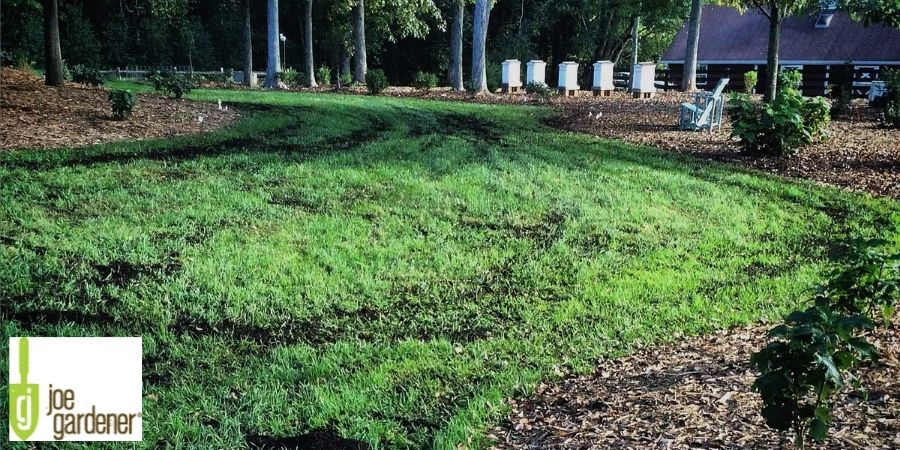 compost spread on green lawn