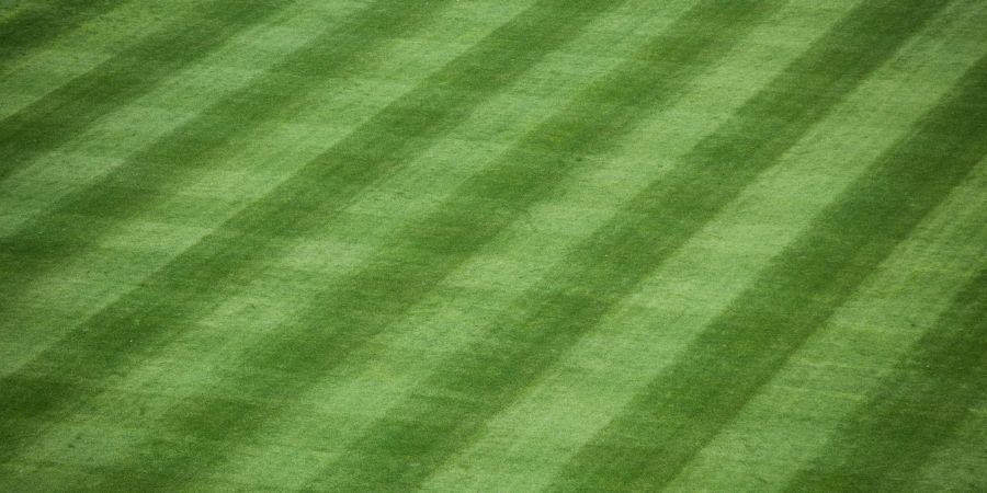 lawn mowing stripes