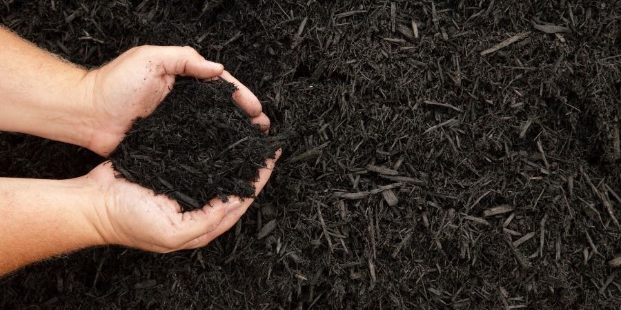 dark mulch in scooped hands