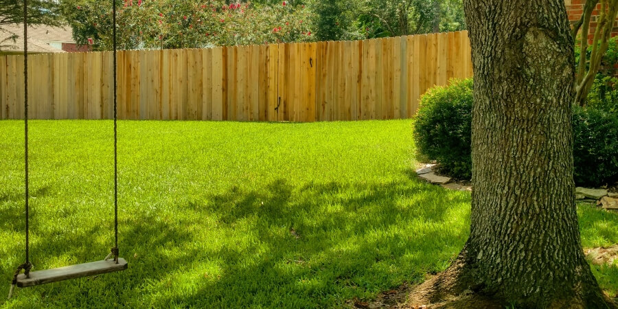 Spring healthy lawn and tree with swing