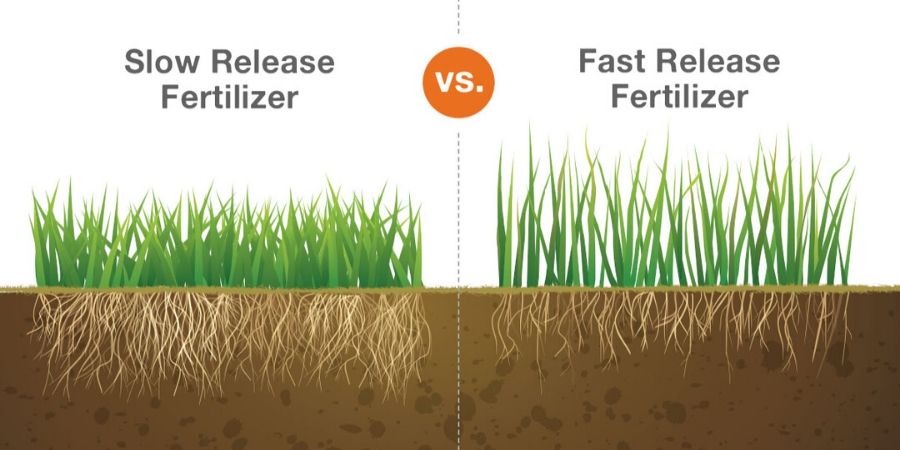 slow vs fast release fertilizer graphic