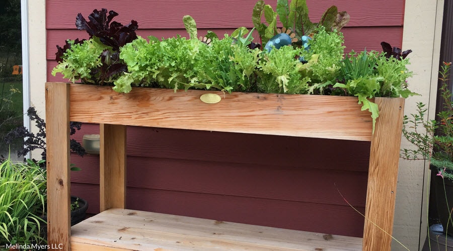 Elevated Gardening Fertilizer