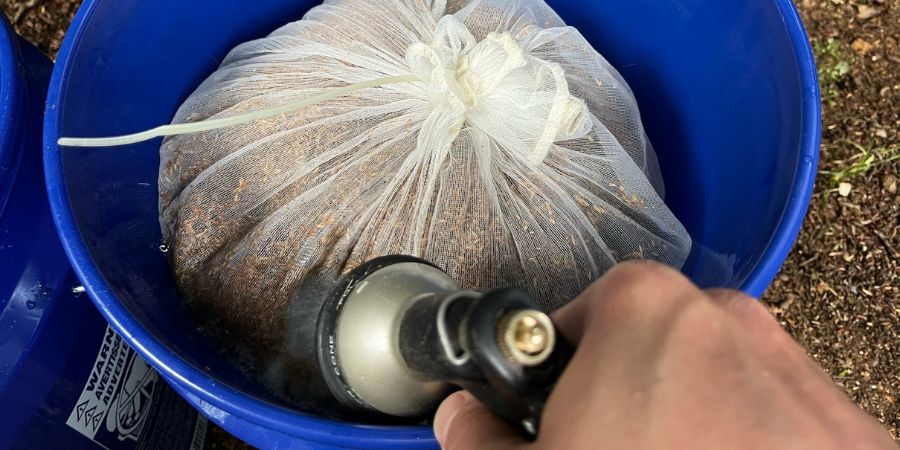 grass seed in bag soaking in blue bucket