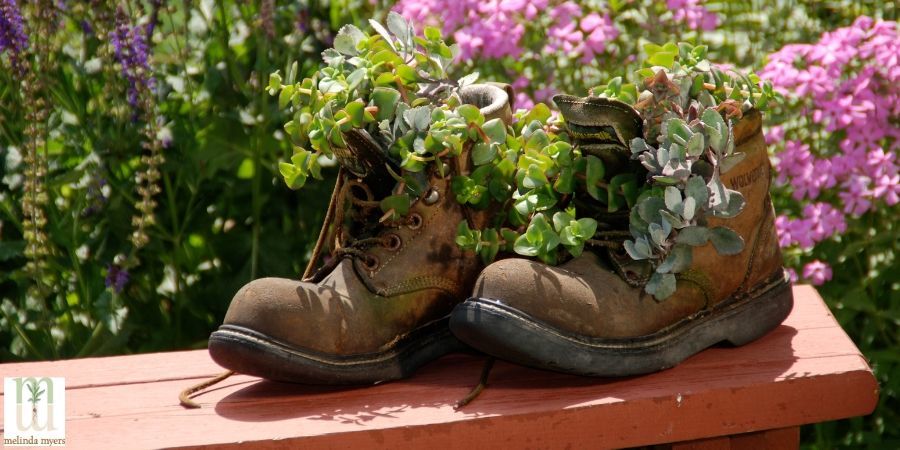 MMContainerGardeningBoots900x500min.jpg