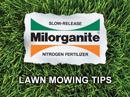 How to Mow Your Way to a Healthy Lawn