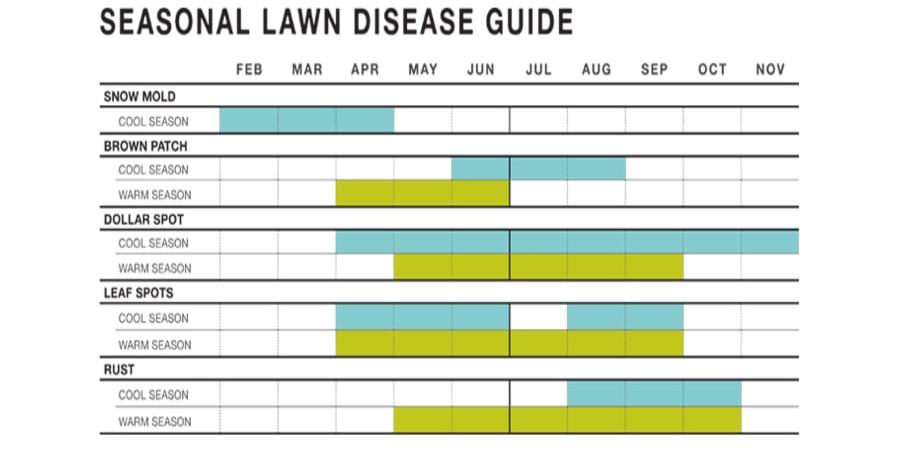 Lawn Disease Chart