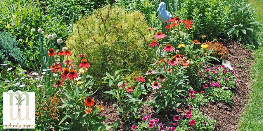 flowers in garden