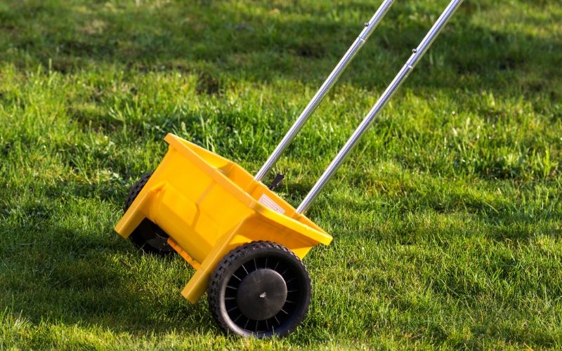 grass seed spreader