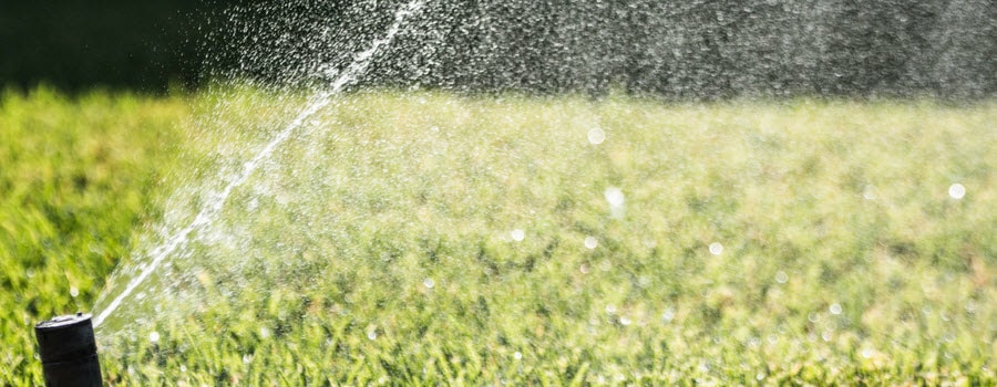 sprinkler in lawn