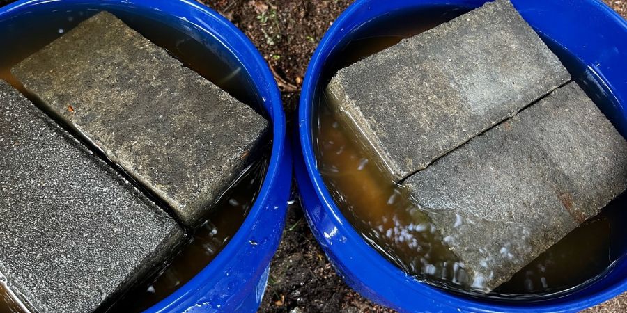 grass seed in blue bucket being weighed down by brick