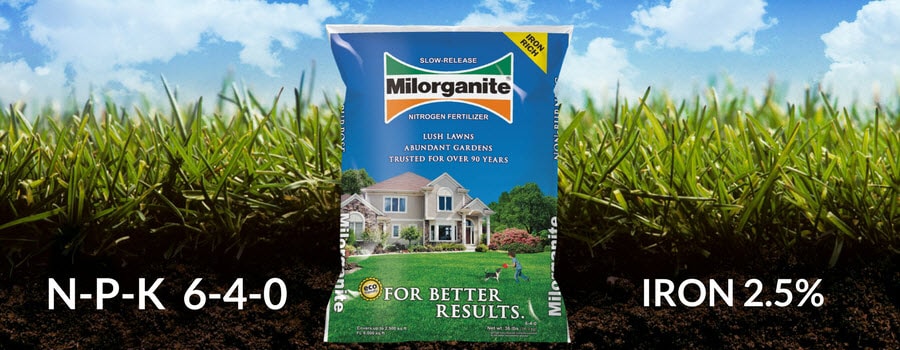 Milorganite 36 lb bag of fertilizer in the grass 