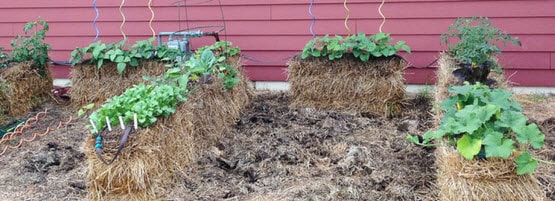 StrawBaleGardenMM_555x201-min.jpg