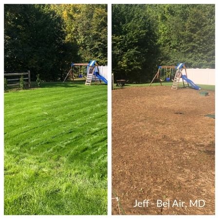 lawn before and after
