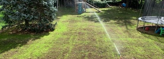 Drought_Damage_and_Repair_Matt_Welsh_Thumbnail_555x201-min.jpg
