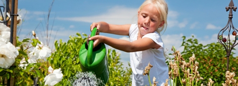 A girl watering aflower garden. Proper watering is very important in June. 