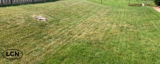 Thumbnail_LCN_Heat_Stressed_Lawn_Summer_Lawn_Tips_900x450-min.jpg