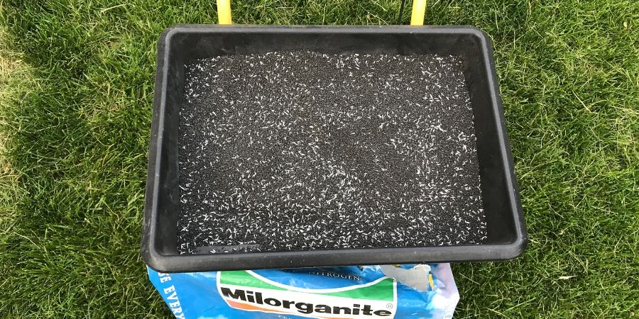 bag of milorganite by a seed spreader with seed