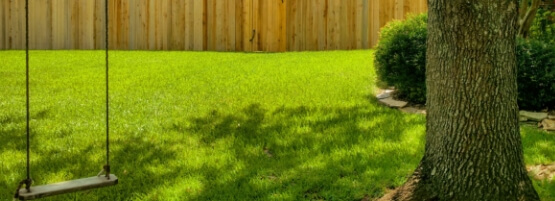 HealthyLawnSwingThumbnail900x450min.jpg