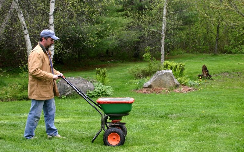 man spreading grass seed